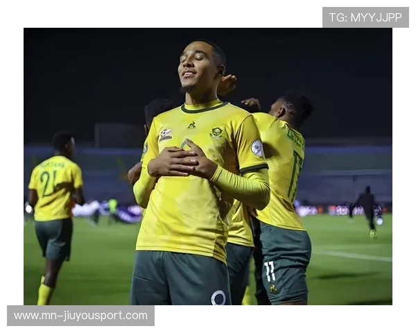 南非的防守真硬，关键时刻没人掉链子，南非比赛