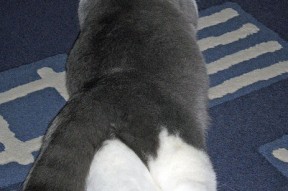 九游登录入口-欧洲杯变阵奇迹：出奇制胜赢得高峰！，欧洲杯阵出炉