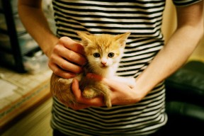 JIUYOU GAMING-梅西收获全场最高分世界杯小组赛，梅西收获全场最高分世界杯小组赛的球队