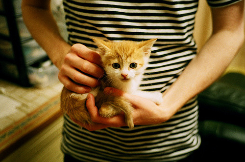 梅西收获全场最高分世界杯小组赛,梅西收获全场最高分世界杯小组赛的球队